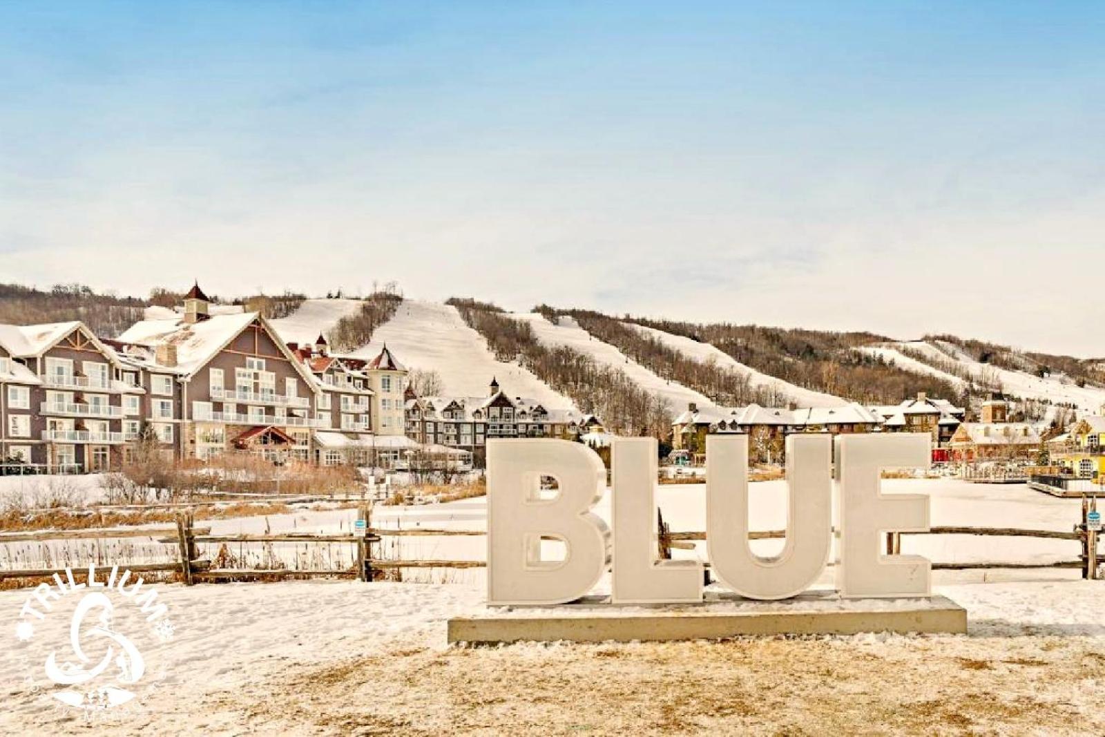 Blue Mountain, Collingwood - Loft Condo, Sleeps 4 Blue Mountains Exteriör bild