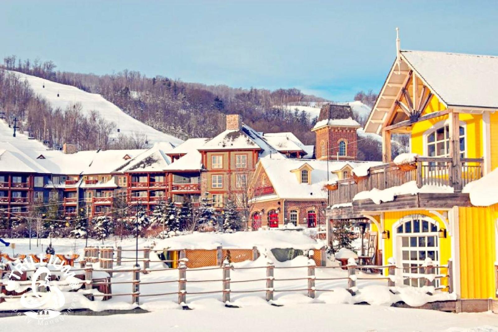 Blue Mountain, Collingwood - Loft Condo, Sleeps 4 Blue Mountains Exteriör bild